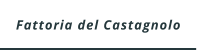 Fattoria del Castagnolo