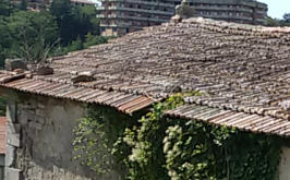 grosseto, amiata, templari, arcidosso, castel del piano, seggiano, santa fiora, pieve lamula, gianni, giovanni, cannavale, archeoamiata