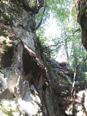 grosseto, amiata, templari, arcidosso, castel del piano, seggiano, santa fiora, pieve lamula, gianni, giovanni, cannavale, archeoamiata